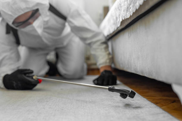 Professional Pest Control technician working in Boring, OR