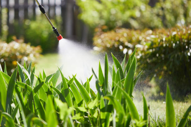 24/7 Emergency Pest Control experts in Boring, OR